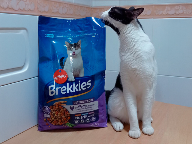 Pienso para gatos esterilizados